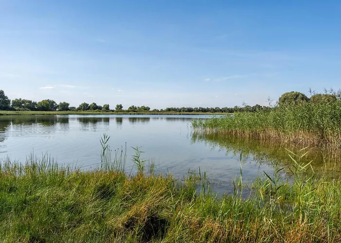 Kornblume * Blankenburg (Uckermark)
