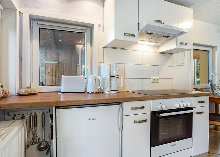 Kornblume Blankenburg (Uckermark)