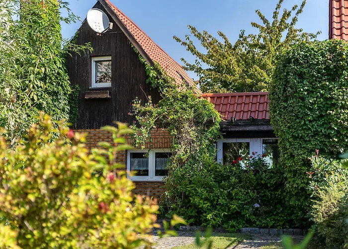 Kornblume * Blankenburg (Uckermark)